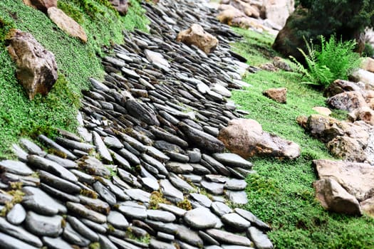 Green garden - grass and stone way