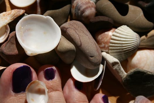 Foot under shells