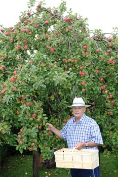Senior in the garden