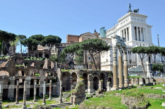 Ruins of the Roman Forum (Foro Romano) in Rome, Italy
