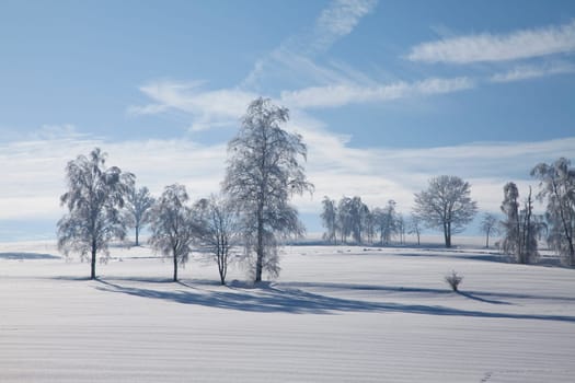 Winter landscape with snow