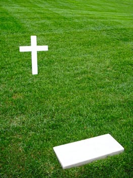 the grave