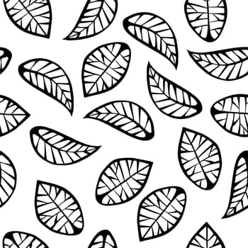 Leaves on white background vector