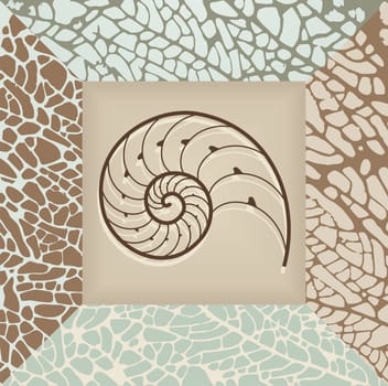 Nautilus shell illustration on brown and beige background Vector available.