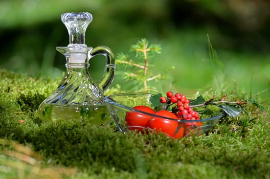 Forest Nature Food Moss Sun Outdoor