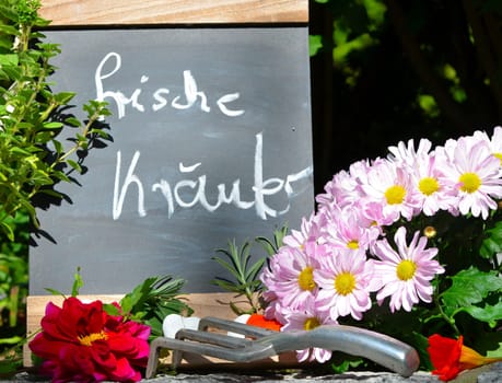 Chalkboard Fresh Herbs Garden Flowers Vitamins