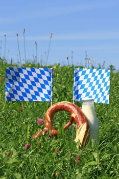 Delicious white-blue Bavaria