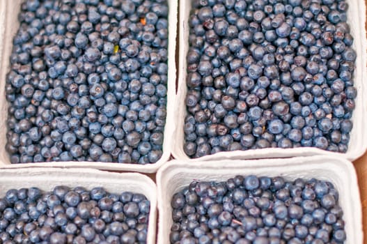 Blueberries