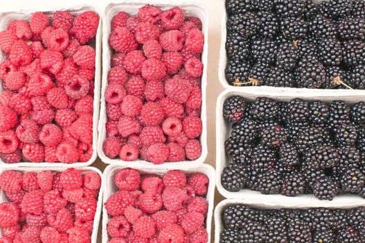 Raspberries