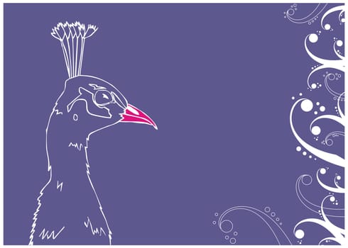 Peacock outline illustration on blue background. Vector available