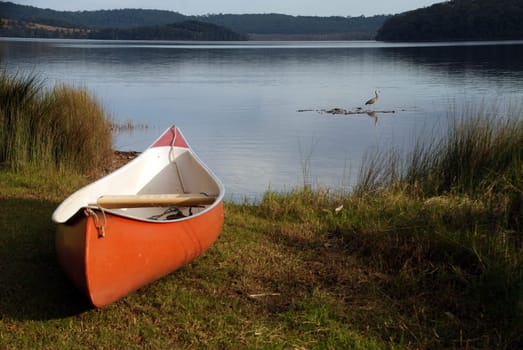 Red canoe with grey heron