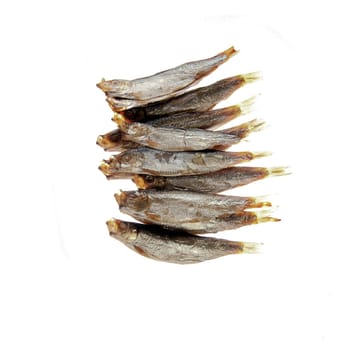 Detail of the sardines on white background - macro