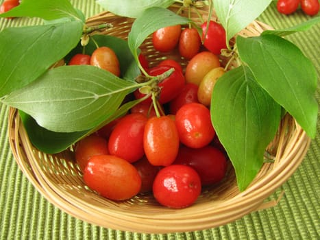 Cornelian cherries in a basket