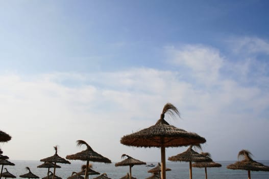 at the beach