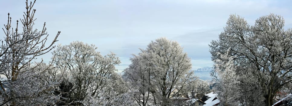 Winter lies over the city