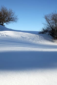 A wonderful winter's day with powder snow and sunshine
