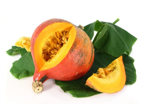 a pumpkin with leaves and blossom against a white background