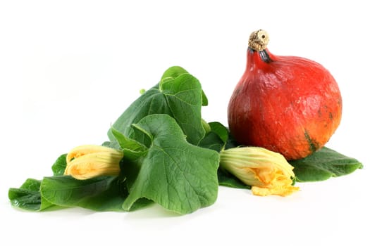a pumpkin with leaves and blossom against a white background