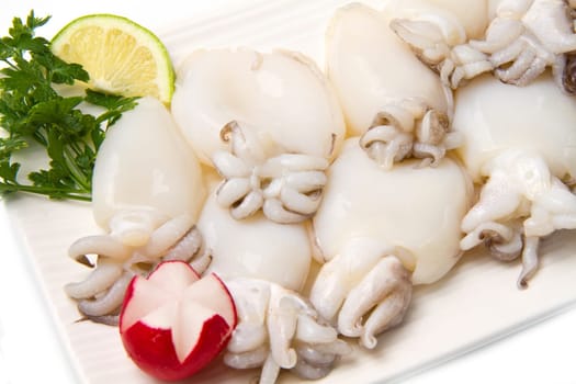 fresh cuttlefish
