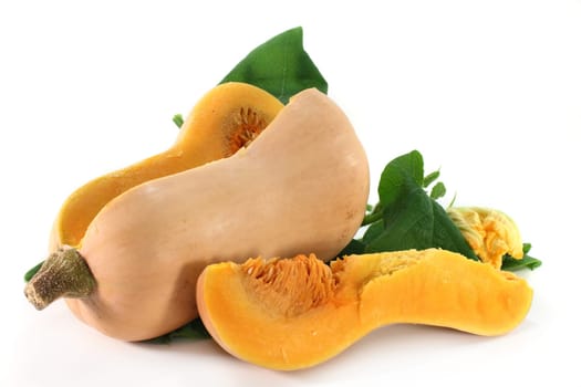 a pumpkin with leaves and blossom against a white background