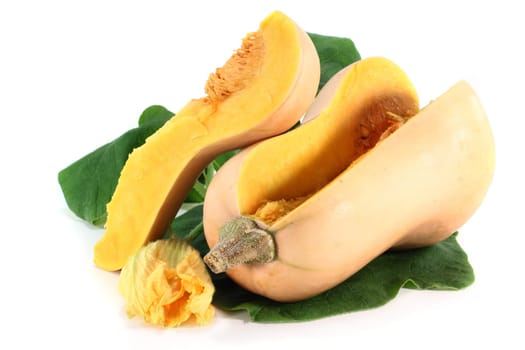 a pumpkin with leaves and blossom against a white background