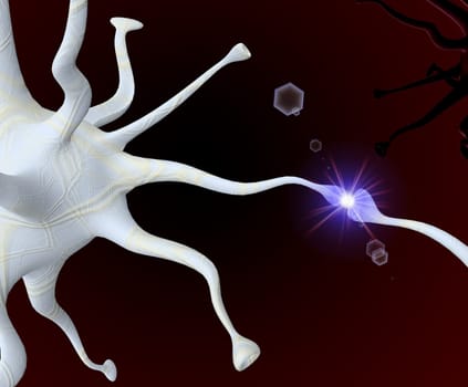 nerve cell