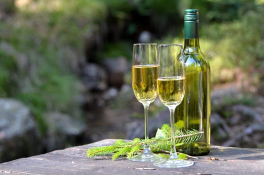 two champagne glasses and a bottle in the forest at a picnic