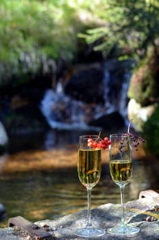 Champagne glass bottle Romantic picnic in the forest by a lake in the moss