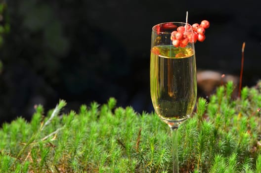 Champagne glass bottle Romantic picnic in the forest by a lake in the moss