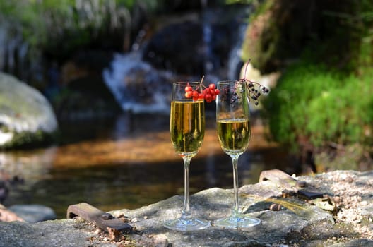 Champagne glass bottle Romantic picnic in the forest by a lake in the moss