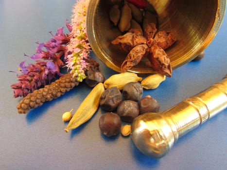 Spices with Bengal pepper