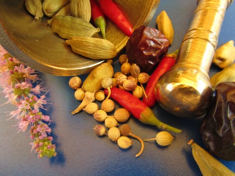 Spices with Strawberry Mint - Mentha species