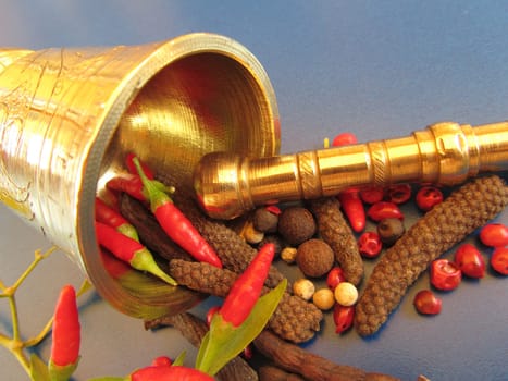 hot spices with Bengal pepper