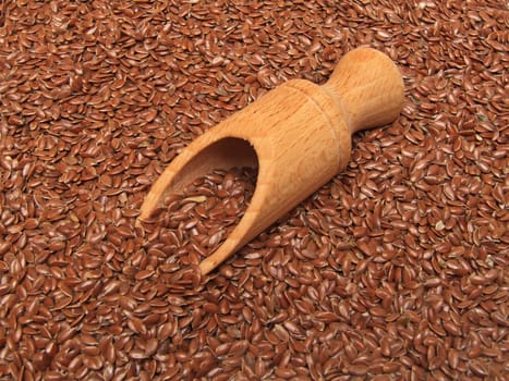 Linseed