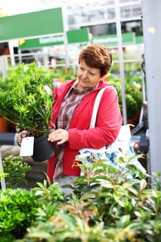 Senior woman buying plants for the garden