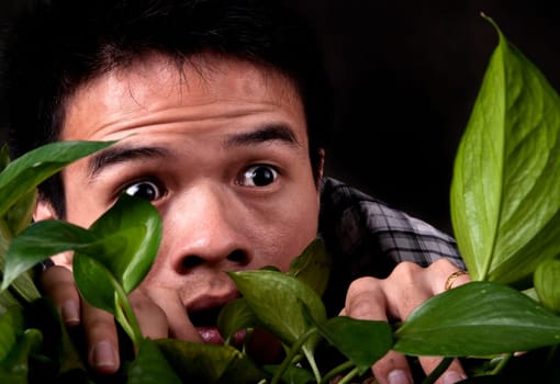 An asian man is suprised and scared  as he looks through a jungle plant