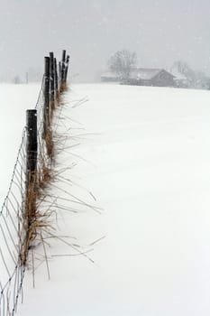 Winter in the countryside