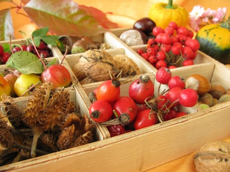 Collection box with walnuts,chestnuts and other autumn fruits