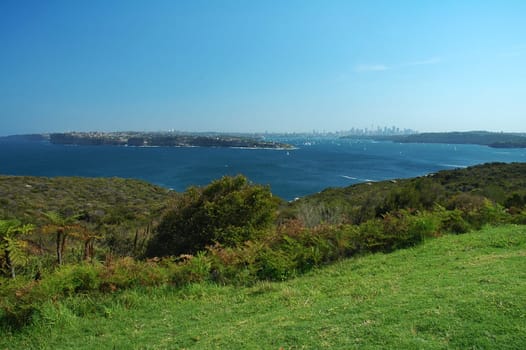grass in foreground, water in the middle and Sydney panorama  in background