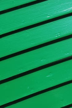 Green abstract wood pattern