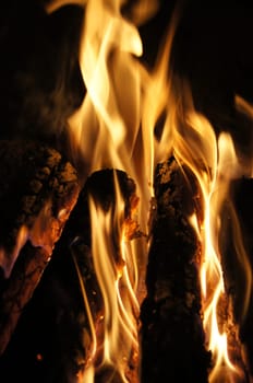 Logs burning on a fire