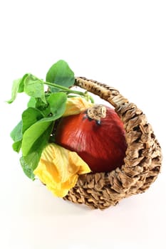 a pumpkin with leaves and blossom against a white background