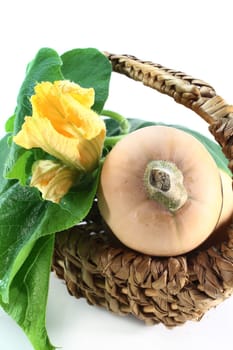 a pumpkin with leaves and blossom against a white background
