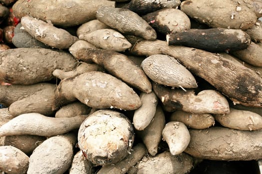 Chinese yam background
