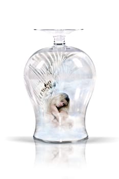 imprisoned angel