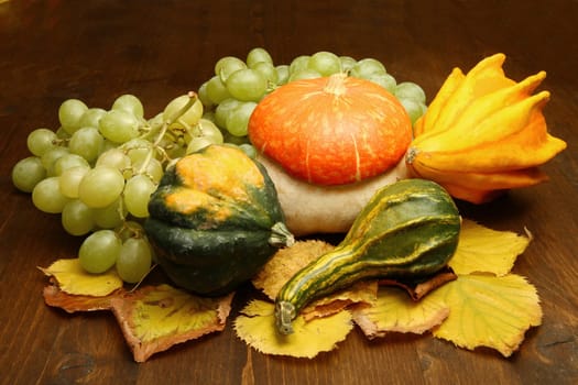 pumpkin