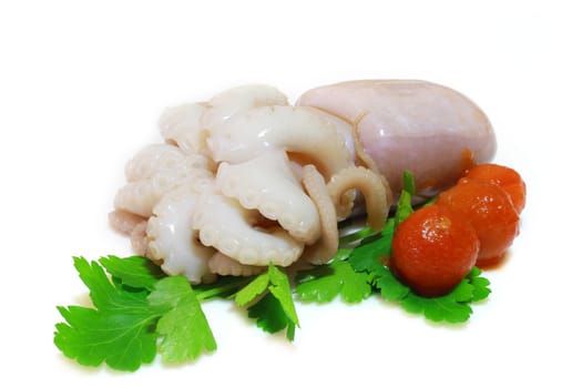 cuttlefish