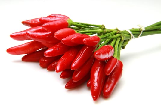 hot red peppers on white ground