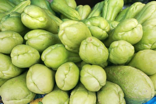 Background of organic choko Sechium edule vegetable pears