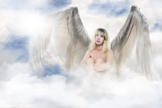 Angel